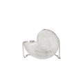 Transparent acrylic conch shell chain bag with silver metal strap and spiral texture - Clear