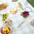 Tapis de pique-nique bohème à carreaux beige et blanc avec franges sur l'herbe - Grand Quadrillage Café