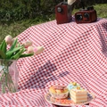 Outdoor bohemian red and white checkered picnic mat with vintage props for camping - 100*150cm / Red Printed Plaid