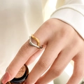 Detail van de in elkaar grijpende tweekleurige ring met gepolijste metalen afwerking - US 6 / Tweekleurig dubbellaags gedraaid touw