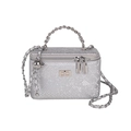 Silver snakeskin chain vanity bag featuring a metallic top handle and chain strap - Silver