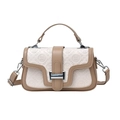 Cream and brown embossed leather crossbody bag with panda pattern and silver buckle - Khaki and White