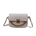 Chic beige lychee leather crossbody bag with gold G-lock and decorative chain - Gray