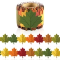 Bordo per bacheca con foglie di acero autunnali per decorazione dell'aula scolastica - 6cm*5m