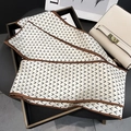 Detail eines eleganten Seidenschals mit Buchstabenprint und geometrischem V-Muster - 13x145cm / Beige Kaffee