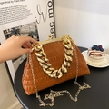 Brown pleated shell bag with thick gold chain handle and metallic frame closure - Brown