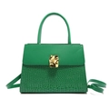 Green faux leather small square bag with crocodile pattern and golden buckle - Green