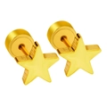 Dettaglio macro di orecchini a stella in acciaio inossidabile placcato oro 18K con chiusura - Stile Stella Oro (EA600901G)