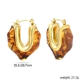 Detailed view of U-shaped amber resin earrings with dimensions 25.6x29.7mm and weight 21.7g - Amber Texture Style (EA33370GG)