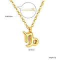 Detail view of gold Capricorn necklace with 40+5cm chain and lobster clasp - Capricorn