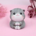 Gray and white sitting prayer cat figurine in resin for home or car dashboard decor - Praying Style C (1082-5) / Single Piece