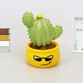 Creative bobblehead cactus car ornament with spring base and smiling face pot - 0062b Cactus Head-shaking Ornament / As Shown