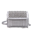 Chic silver sequin crossbody bag with dazzling diamond fringe and adjustable strap - Silver
