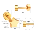 Dettaglio orecchini a stella in acciaio placcato oro con zirconia e chiusura a vite - Stile Stella Zirconia (EA608101G)