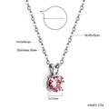 Detail of pink zircon pendant necklace, 45+5cm adjustable stainless steel chain - Round Pink Zirconia Silver Style (NE2B200FS)