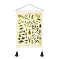 Tapiz vintage de insectos en lona beige con barra de madera y borlas decorativas - 35x50cm / Diagrama de Insectos Realista (Estilo 1)
