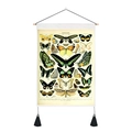Macro detail of butterfly scientific illustration tapestry with wooden pole and black tassels - 35x50cm / Butterfly Illustration