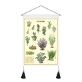 Detail of vintage canvas wall hanging with herb botanical chart and black tassels - 35x50cm / Herbaceous Plant Illustration