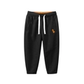 Boys black jogger pants with orange dinosaur embroidery and elastic drawstring waist - 120cm / Black