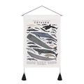 Vintage Cetacea whale species identification wall scroll with wooden frame and tassels - 35x50cm / Whale Illustration