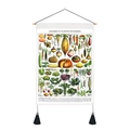 Vintage scroll wall art featuring 82 vegetable botanical illustrations on canvas - 35x50cm / Fruits And Vegetables
