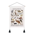 Detailed educational wall hanging scroll featuring 31 species of hand-drawn marsupial animals - 35x50cm / Marsupialia Illustration