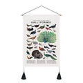 Detail of vintage canvas bird poster with wooden hanger and black tassels - 35x50cm / Bird Illustration