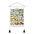Vintage botanical fruit illustration wall scroll with wooden frame and black tassels - 35x50cm / Fruit