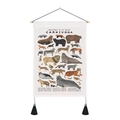 Detail of canvas wall art showing carnivorous animal illustrations and English index names - 35x50cm / Carnivora Illustration