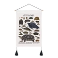 Macro detail of vintage turtle species encyclopedia hanging scroll with wooden rods - 35x50cm / Testudines Illustration