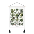 Detail of vintage botanical tree chart on canvas with wooden scroll and black tassels - 35x50cm / Tree