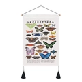 Detail of vintage Lepidoptera butterfly wall tapestry with wooden rod and tassels - 35x50cm / Butterfly Illustration