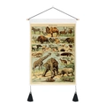 Détail d'affiche vintage d'animaux avec cadre en bois et glands noirs décoratifs - 35x50cm / Grands Mammifères