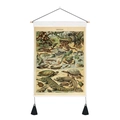 Détail de l'affiche vintage Reptiles avec baguettes en bois et pompons noirs décoratifs - 35x50cm / Amphibiens