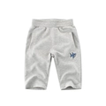 Kids grey casual knit shorts with elastic waist and blue shark embroidery patch - 120cm / Mixed Grey