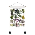 Affiche botanique vintage avec arbres d'ornement et support de suspension en bois - 35x50cm / Arbre 3