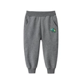Boys gray cotton joggers with green van embroidery and ribbed elastic waist - 90 / Carbon Gray