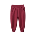 Solid deep red kids' athletic sweatpants with elastic waistband and ribbed ankle cuffs - Wine Red