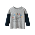 Kids long sleeve t-shirt featuring dinosaur print and stylish gray contrast sleeves - 90cm / Mixed Grey