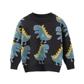 Kids long sleeve dark grey knit sweater with blue cartoon dinosaur pattern and crew neck - 110 / Carbon Gray