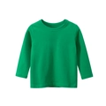 Classic green long-sleeve cotton T-shirt for boys featuring a ribbed crew neck - Fruit Green