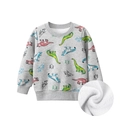 Sudadera de forro polar para niños gris claro con dinosaurios y forro cálido - 90 / Gris Vigoré