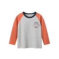 Langarmshirt für Kinder mit grau-orangen Raglanärmeln und einem coolen Dinosaurier-Motiv - Meliertes Grau/Dunkelorange / 100cm