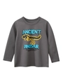 Donkergrijs katoenen T-shirt met lange mouwen voor jongens met gele dinosaurusprint - 90cm / donkergrijs
