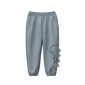 Light blue kids mosquito pants with 3D dinosaur spikes and elasticated cuffs - 90 / Grey Blue