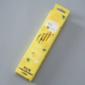 HB pencils set of 12 with pineapple theme fruit design and built-in erasers - Pineapple Style / HB