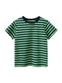 Kids short sleeve striped cotton t-shirt with green and blue horizontal stripes - 100cm / Fruit Green and Royal Blue Striped