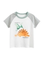 Kids short sleeve dinosaur t-shirt with grey raglan sleeves and cartoon print - 130cm / Off-white/Heather Grey