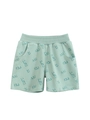 Mint green kids cotton shorts with all-over YOU ARE CUTE letter print and elastic waist - 90 / Waterfall Green
