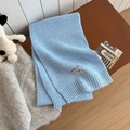Light blue knitted scarf with cute running dog embroidery and Lucky Pipi text - Scarf / Sky Blue